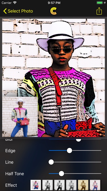 Cartoonize - Cartoon Photo Fx screenshot-4