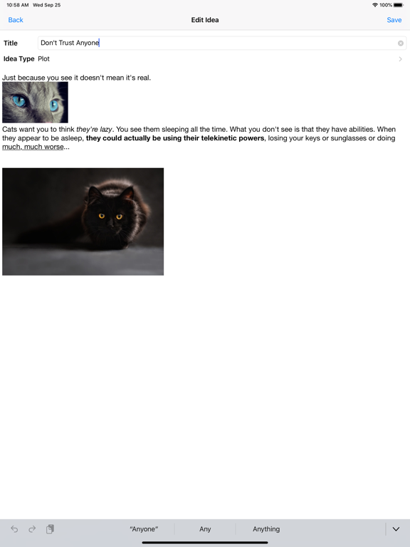 Screenshot #5 pour WriteIdeas