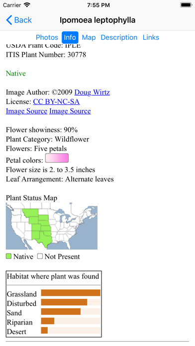Oklahoma Wildflowers Screenshot