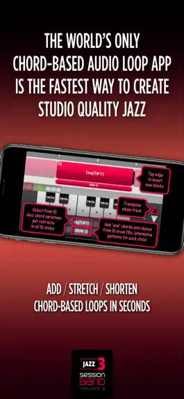 Game screenshot SessionBand Jazz 3 apk