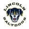 The official app of the Lincoln Saltdogs lets you follow the action of your favorite team both at and away from the ballpark