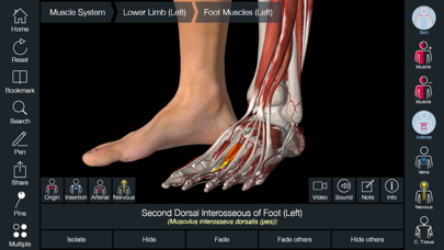 Essential Anatomy 5スクリーンショット