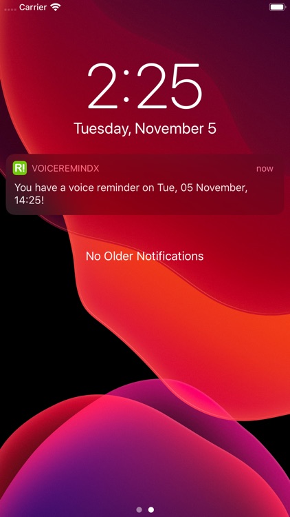 Voice Reminder L - voice memos screenshot-3