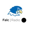 Falcon Radio