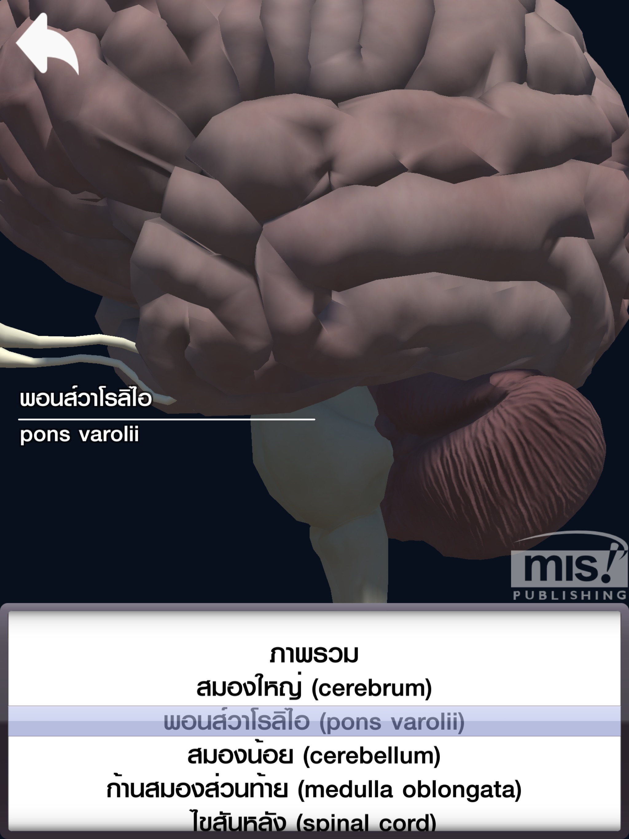 MIS Human Body AR Poster