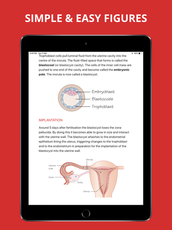 Screenshot #4 pour Embryology Pro