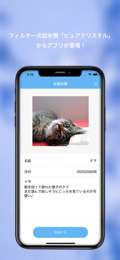 ピュアクリスタル