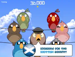 Game screenshot Feather Squadron: Scotland mod apk