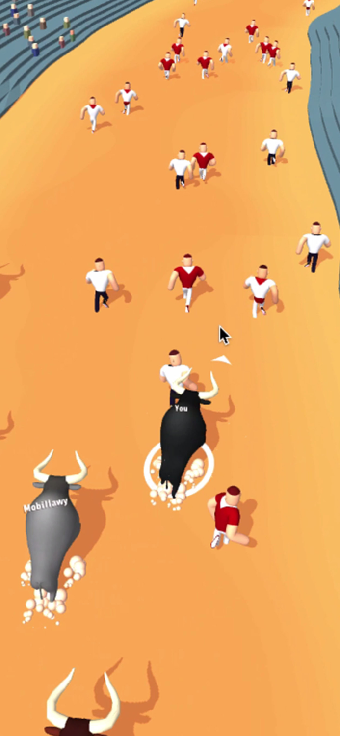 Bull Race