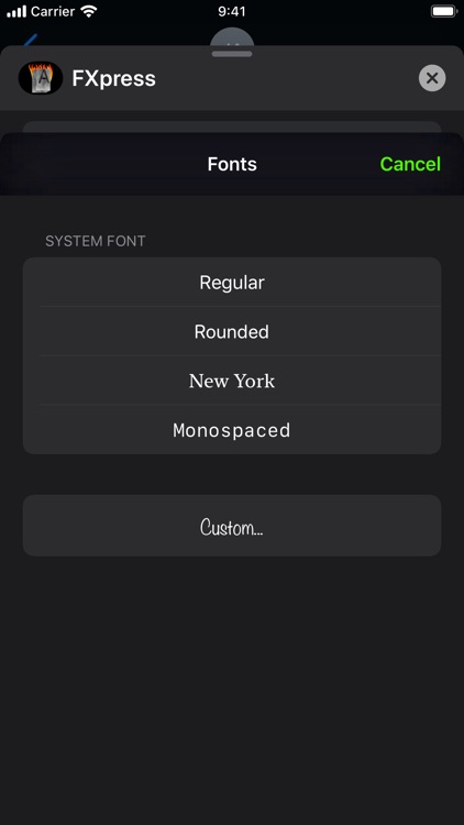 FXpress screenshot-4