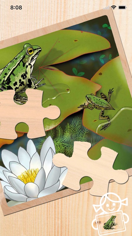 Rolf AR Life of the Frog