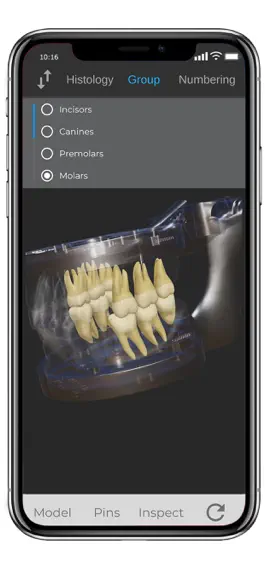 Game screenshot ToothView™ hack