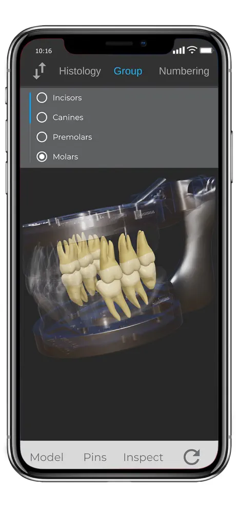 ToothView™