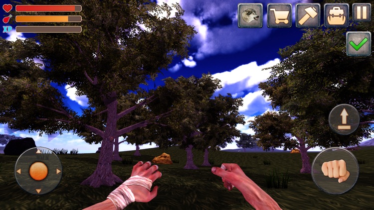 Night Island Forest screenshot-3