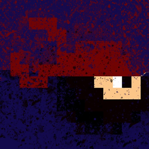Pixel-Ninja - Lighthouse Development Studios, Inc.