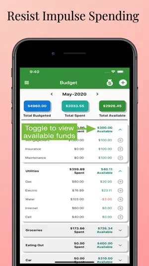 Budget Everything screenshot 2
