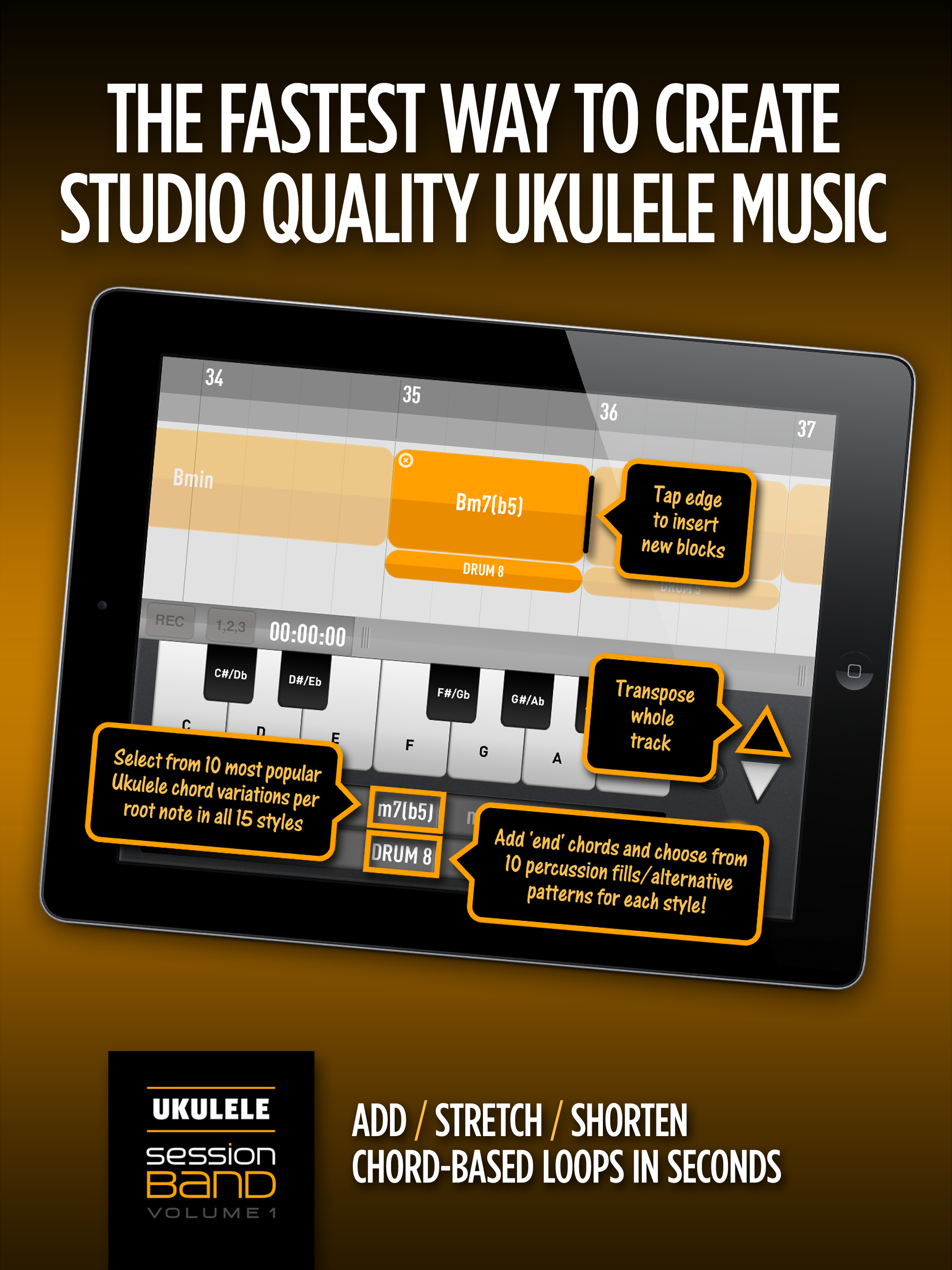 SessionBand Ukulele Band 1 screenshot 7