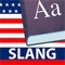 The dictionary of the American slang