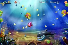 Game screenshot Feeding Frenzy - Eat The Fish apk