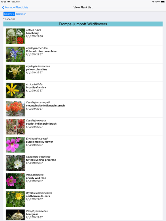Yellowstone Wildflowers iPad screenshot