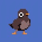 Pigeon Drop app download