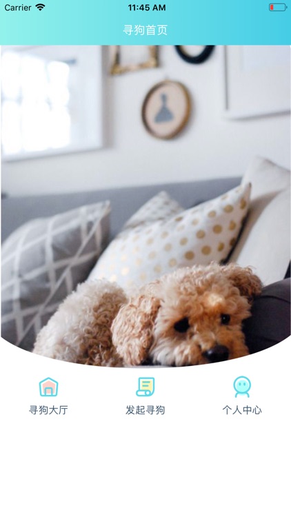 爱宠-找家