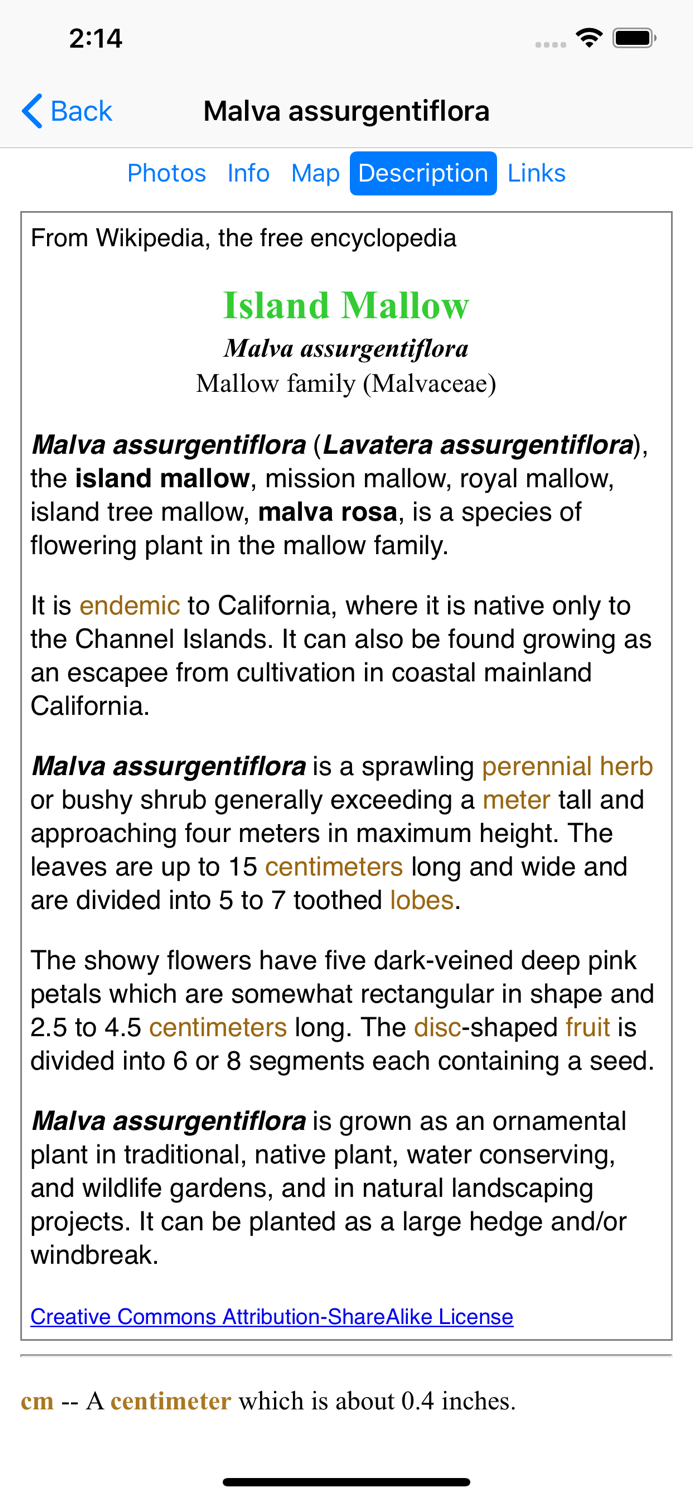 SF Bay Area Wildflowers