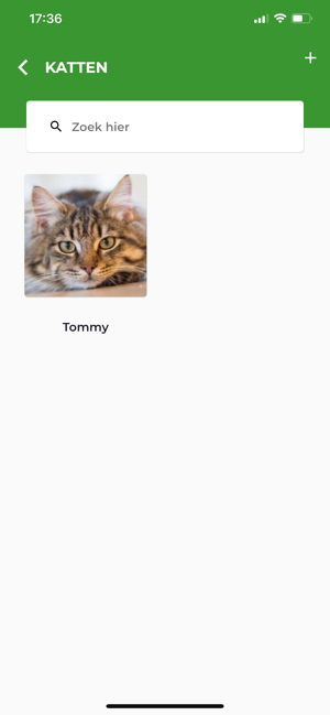 Me & My Cat(圖5)-速報App