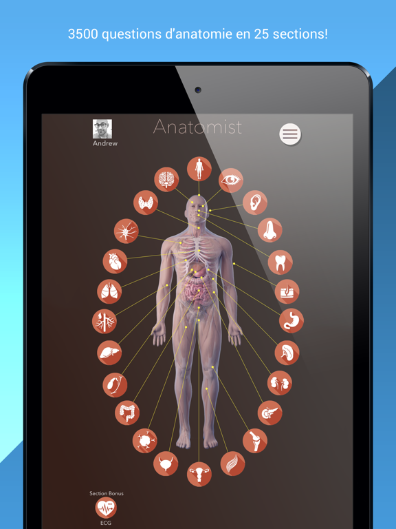 Screenshot #4 pour Anatomist – Anatomie Quiz Jeu