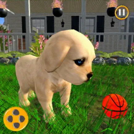 Dog Simulator 3d: Puppy Games Cheats