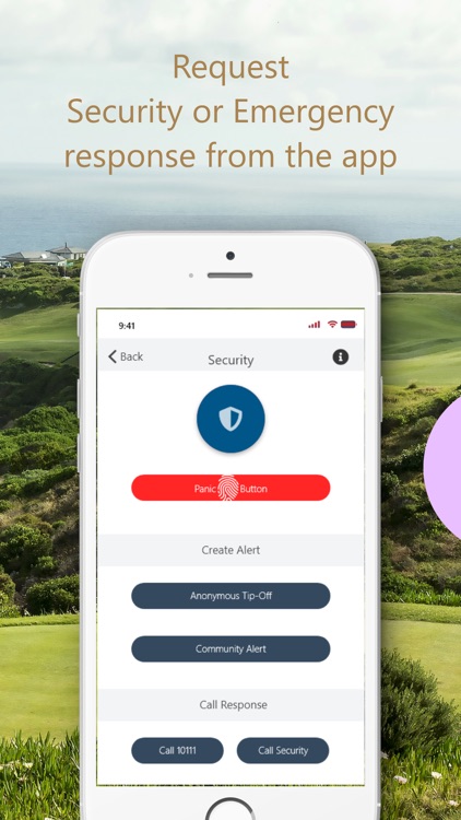 Pinnacle Point Pulse