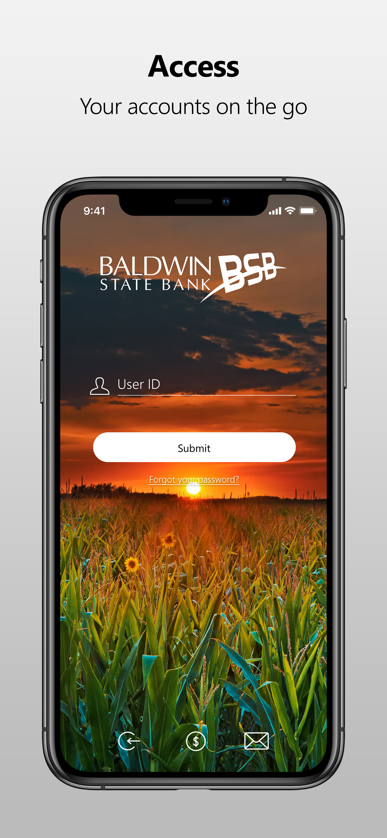 Baldwin State Bank Mobile