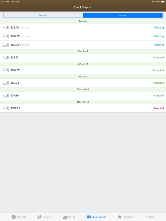 Great Basin FCU iPad screenshot 9 - Finance app