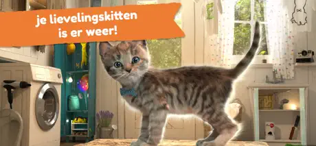 Kleine Kitten - Avonturen