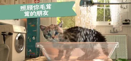 Little Kitten  小猫—猫猫冒险游戏