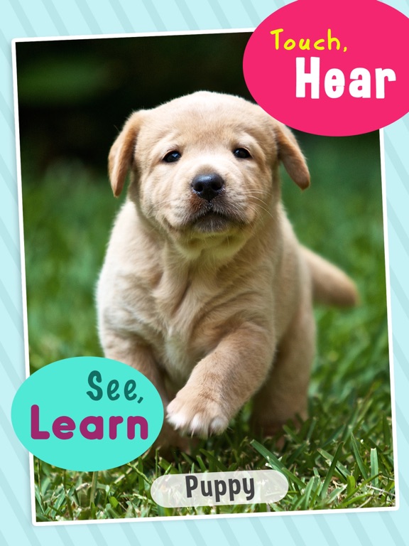 Toddler Sound 123 iPad screenshot 2 - Education app