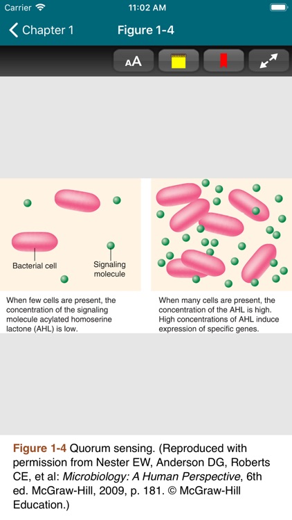 Medical Microbiology, 28/E screenshot-5