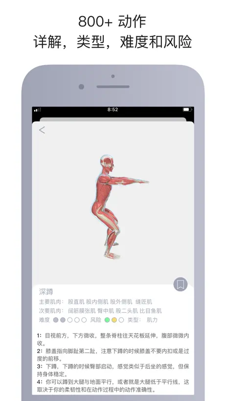 运动解剖