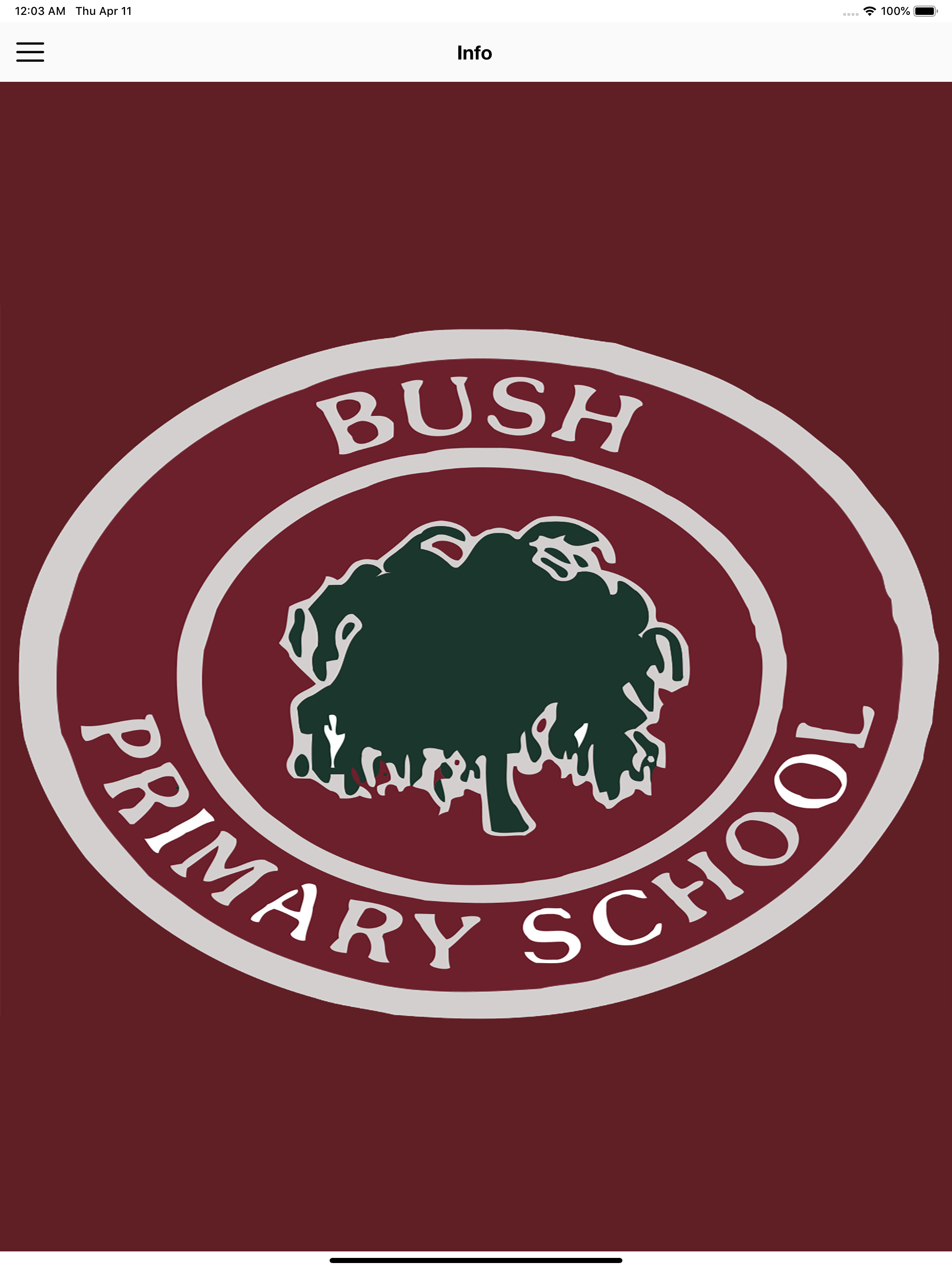 Bush PS screenshot 5