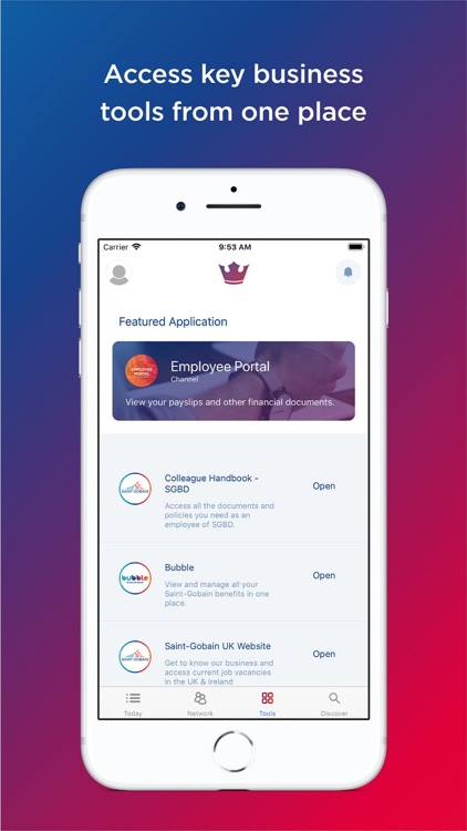 Saint-Gobain Louis screenshot-3