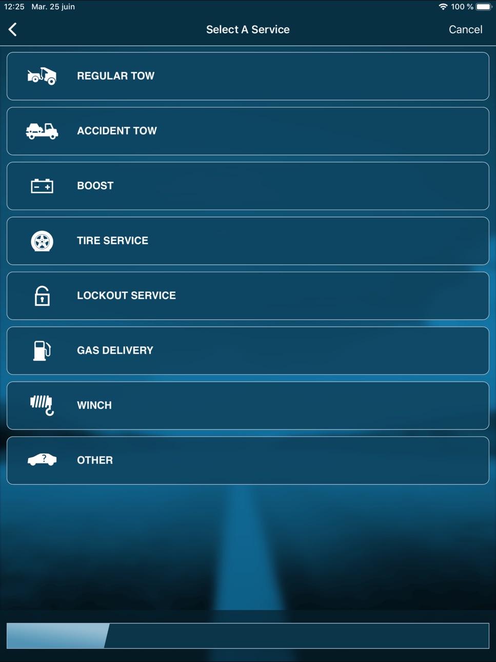 iPad screenshot