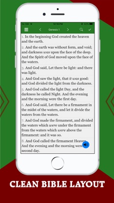Bible Audio · screenshot 4
