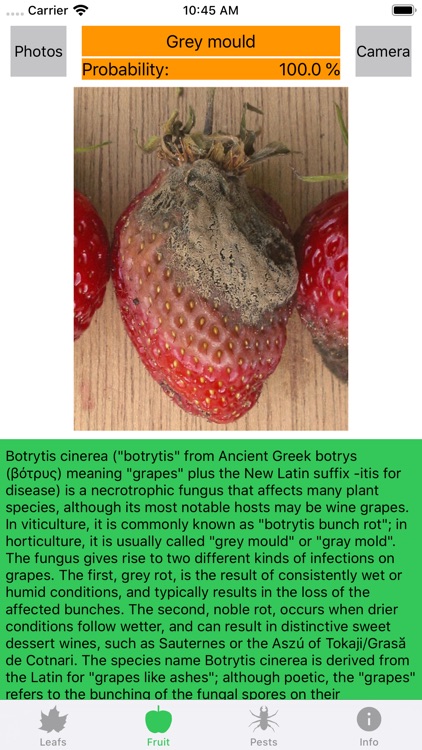 Plant diseases and pests