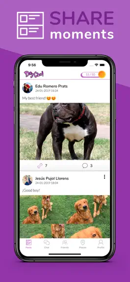 Game screenshot DogCha! mod apk
