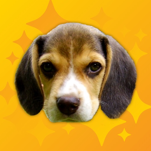 Bark Pro - Dog Sounds icon