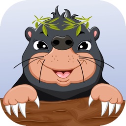 Mole in Yard