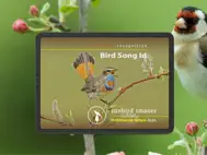 Bird Song Id UK ipad bilder 0