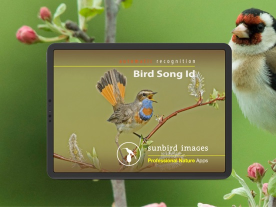 Bird Song Id UKのおすすめ画像1