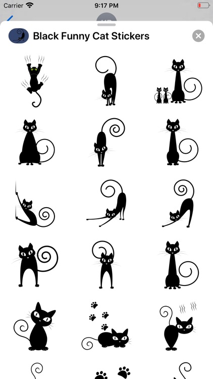 Black Funny Cat Stickers