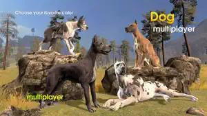 Dog Multiplayer : Great Dane screenshot 1